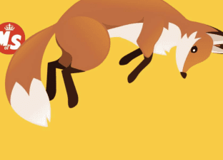 Fox on a Trampoline cover image