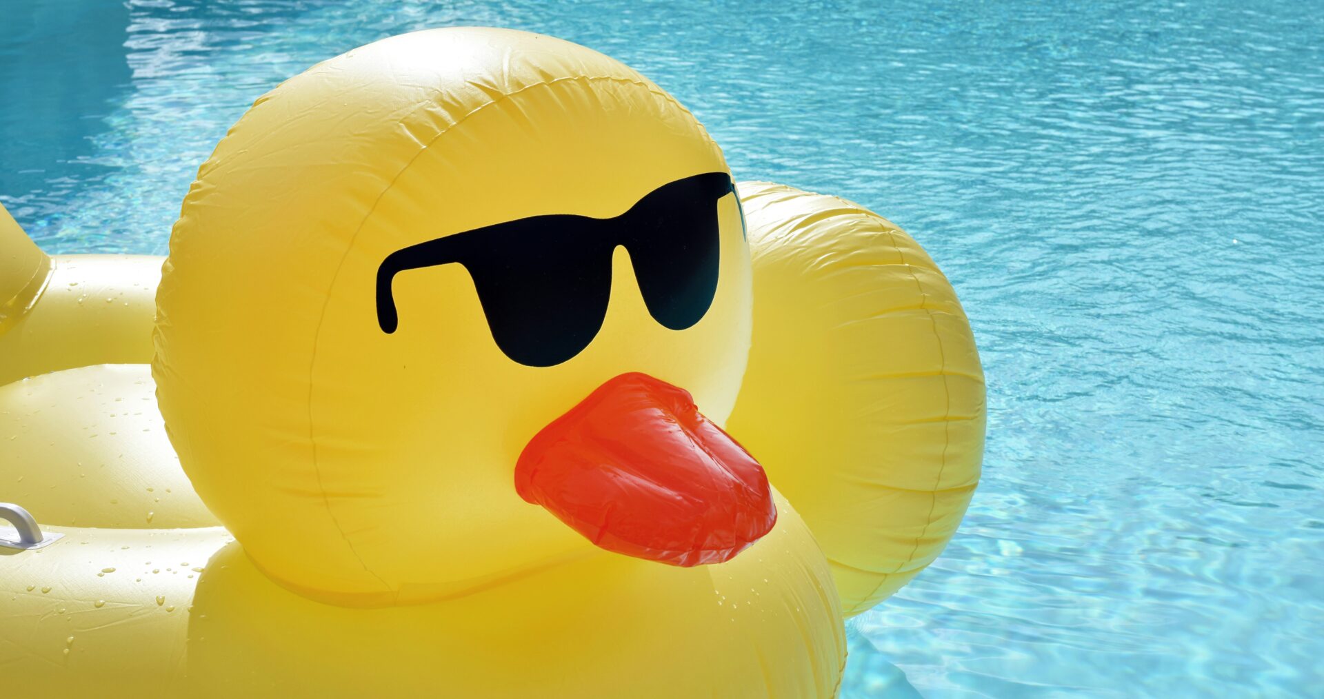 A large inflatable, yellow duck wearing sunglasses floats alone on a large blue swimming pool